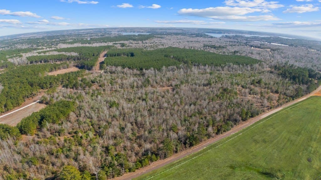 11.45 acres in Texas County featured view