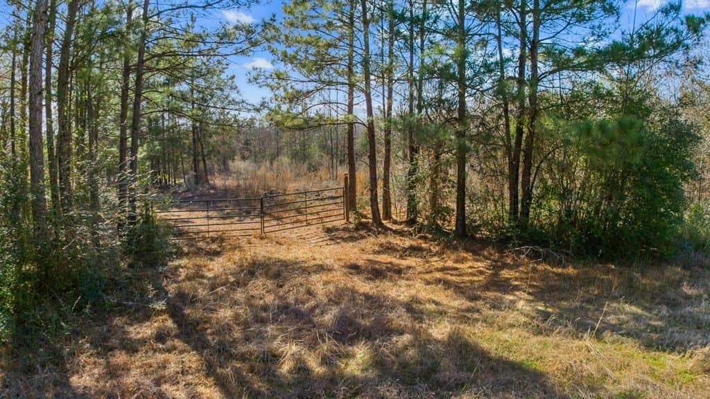 11.45 acres in Texas County gallery image 3