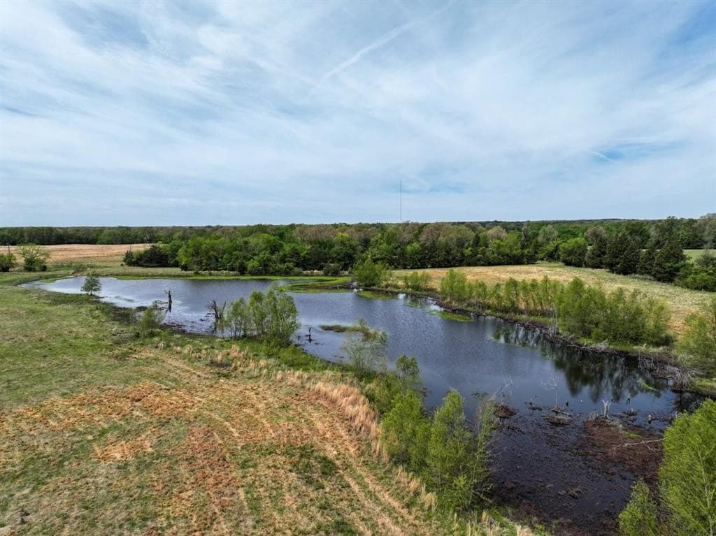 94 acres in Bowie County