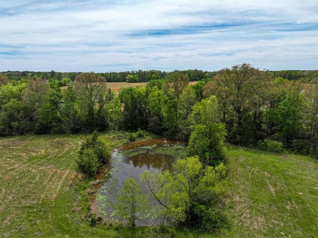 94 acres in Bowie County gallery image 4