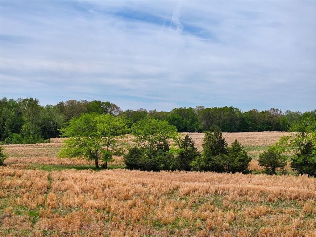 94 acres in Bowie County gallery image 2