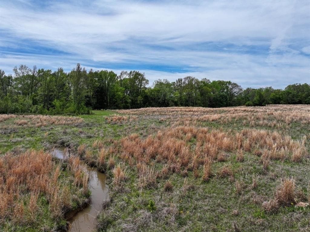 94 acres in Bowie County featured view
