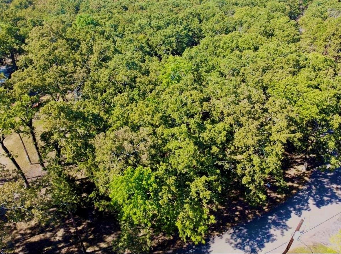 0.14 acres in Hunt County - photo 6