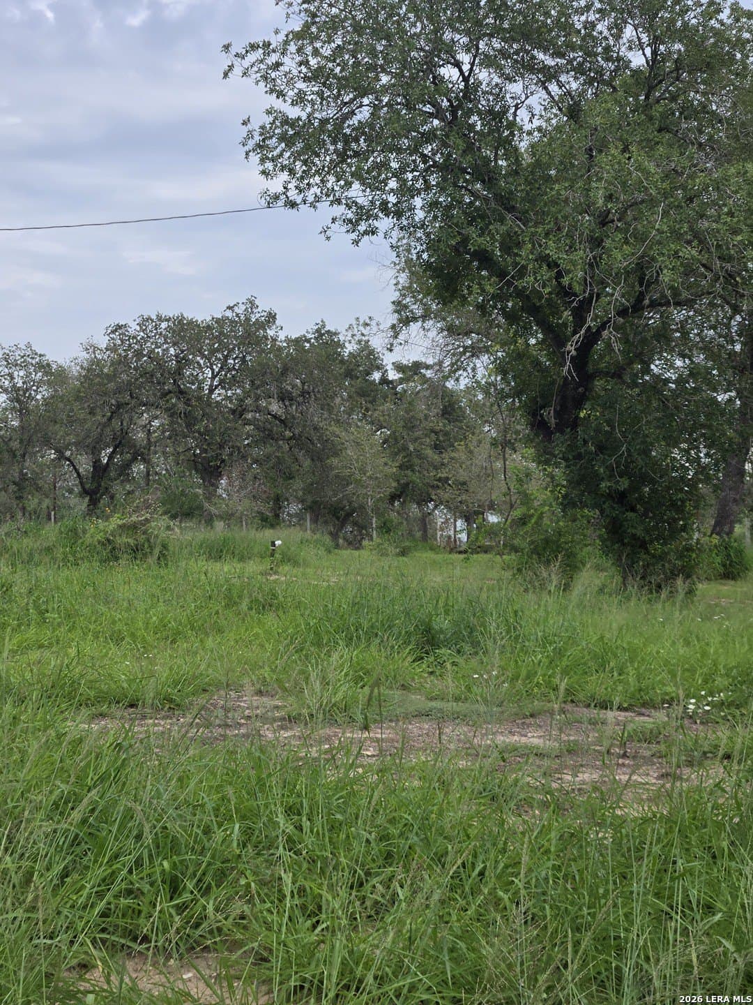 1.68 acres in Atascosa County gallery image 3