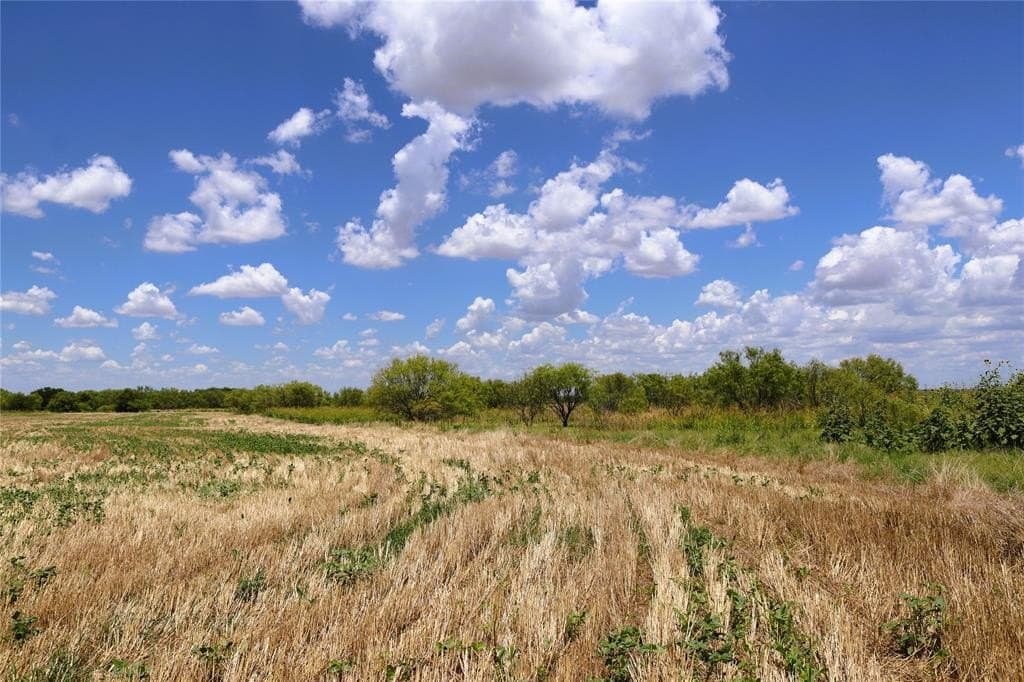 10 acres in Clay County gallery image 3