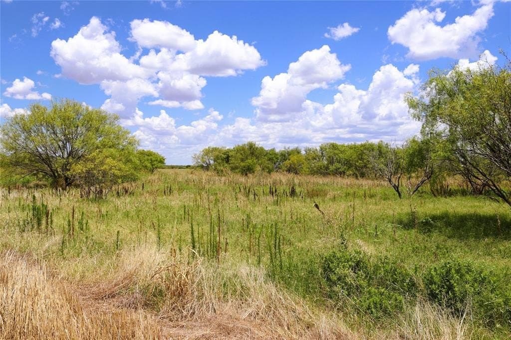 10 acres in Clay County