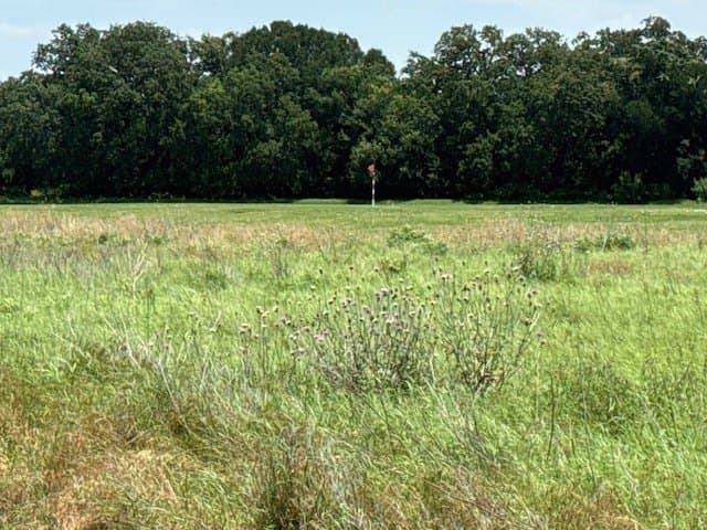 0.3 acres in Hill County - photo 2