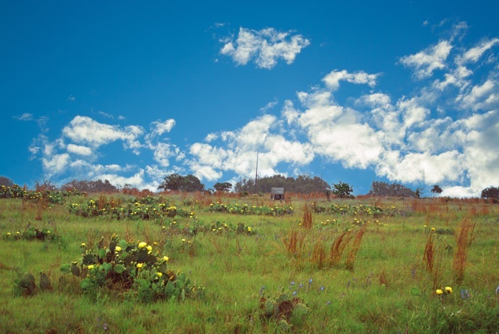 26.01 acres in Gillespie County - photo 8