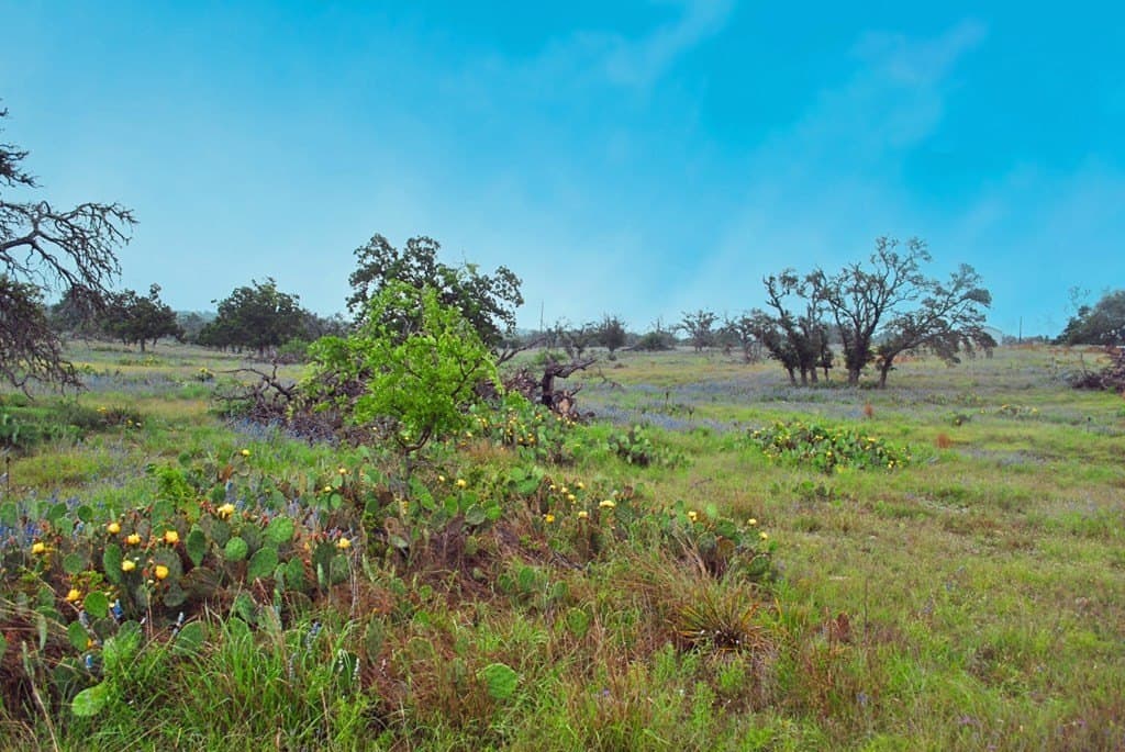26.01 acres in Gillespie County - photo 7