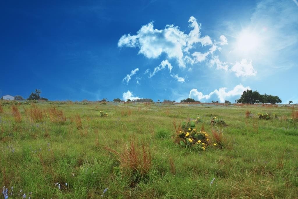 26.01 acres in Gillespie County - photo 4