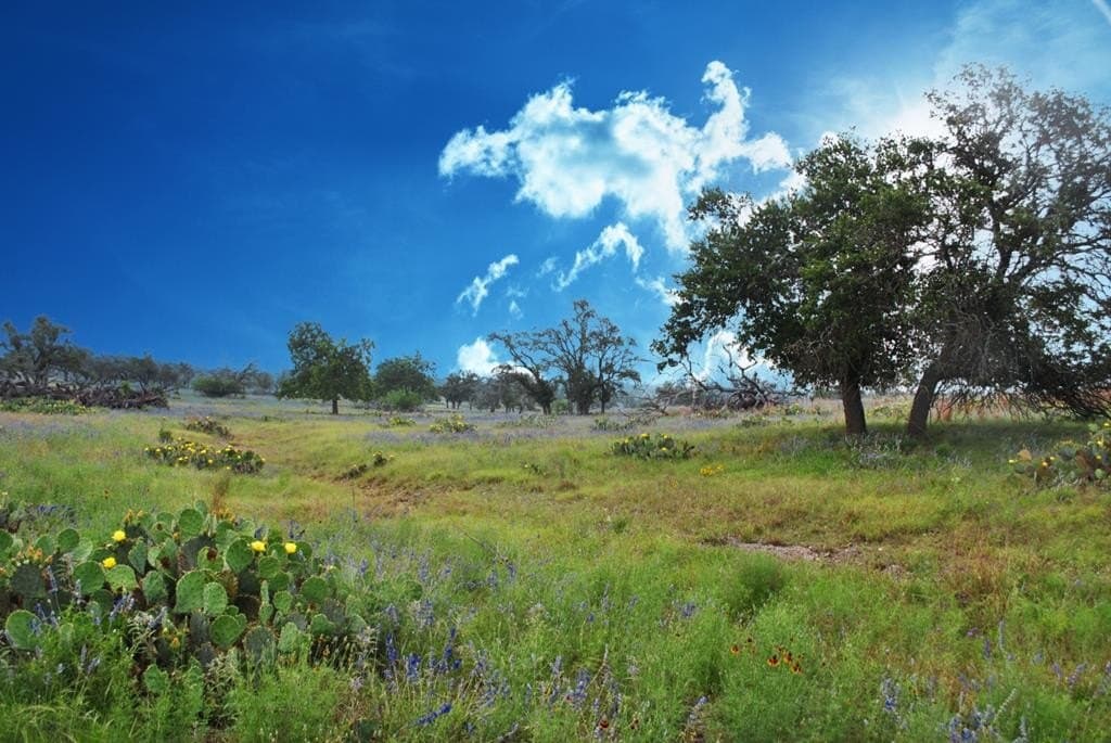 26.01 acres in Gillespie County - photo 6