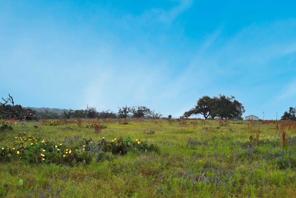 26.01 acres in Gillespie County - photo 5