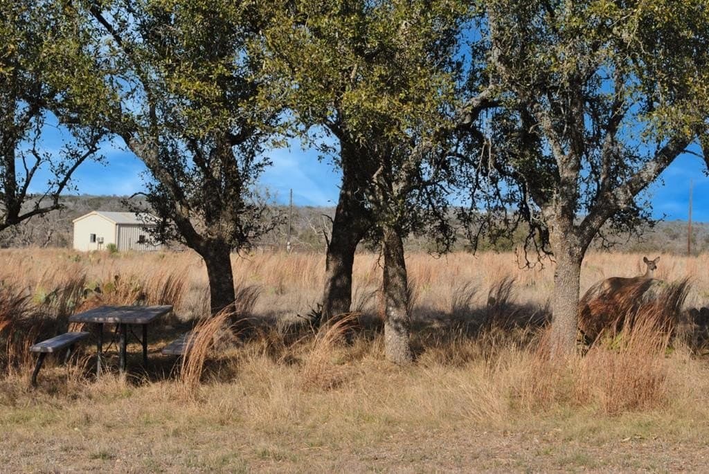26.01 acres in Gillespie County - photo 11