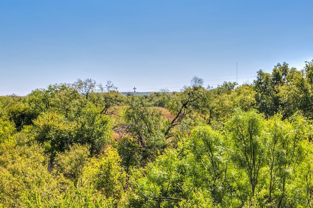 43 acres in Runnels County - photo 6
