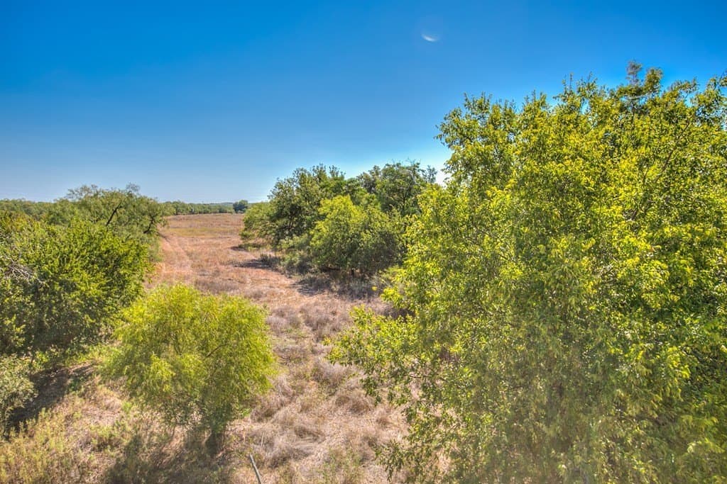 43 acres in Runnels County gallery image 4