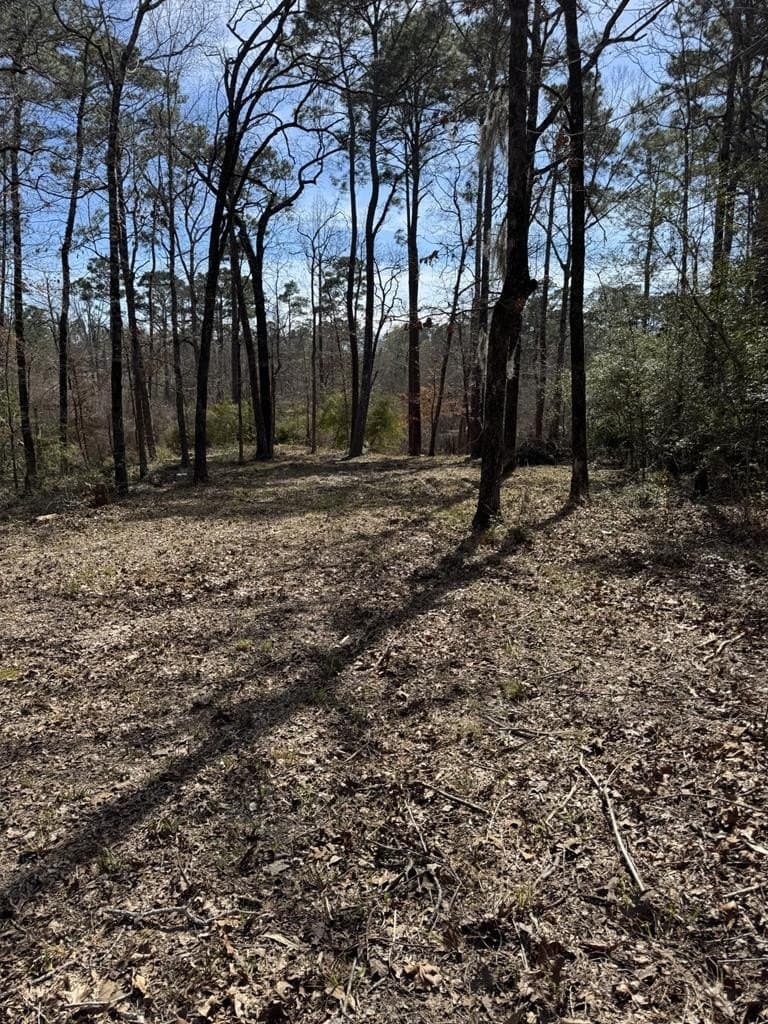 0 acres in Texas County