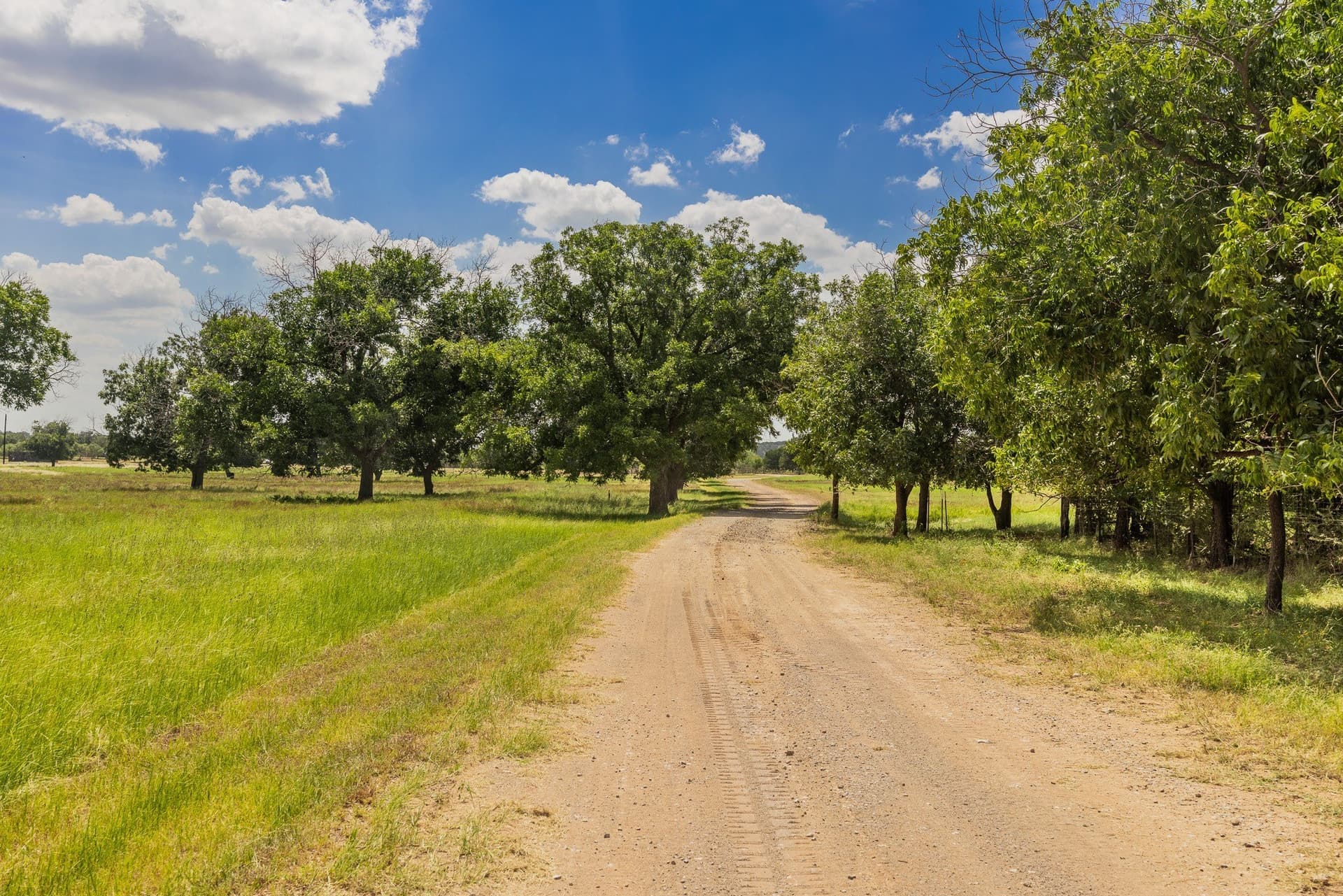 152 acres in Coleman County - photo 13