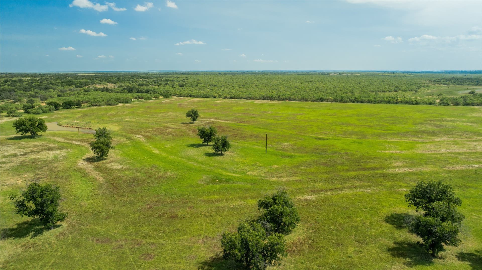 152 acres in Coleman County - photo 7