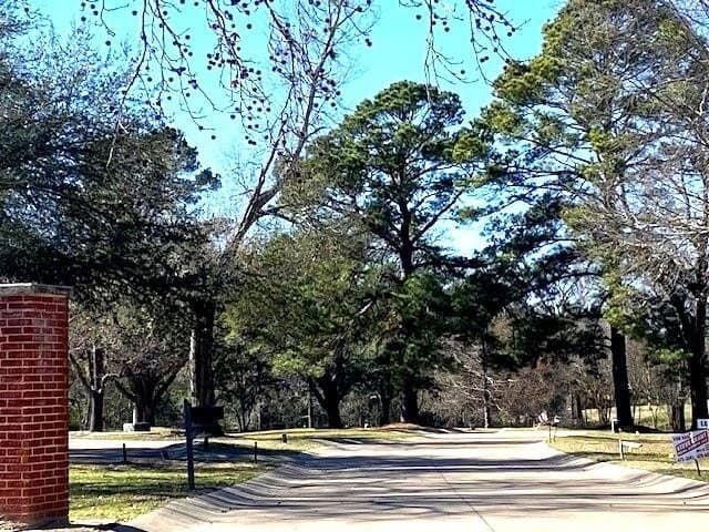 0.28 acres in Henderson County gallery image 2