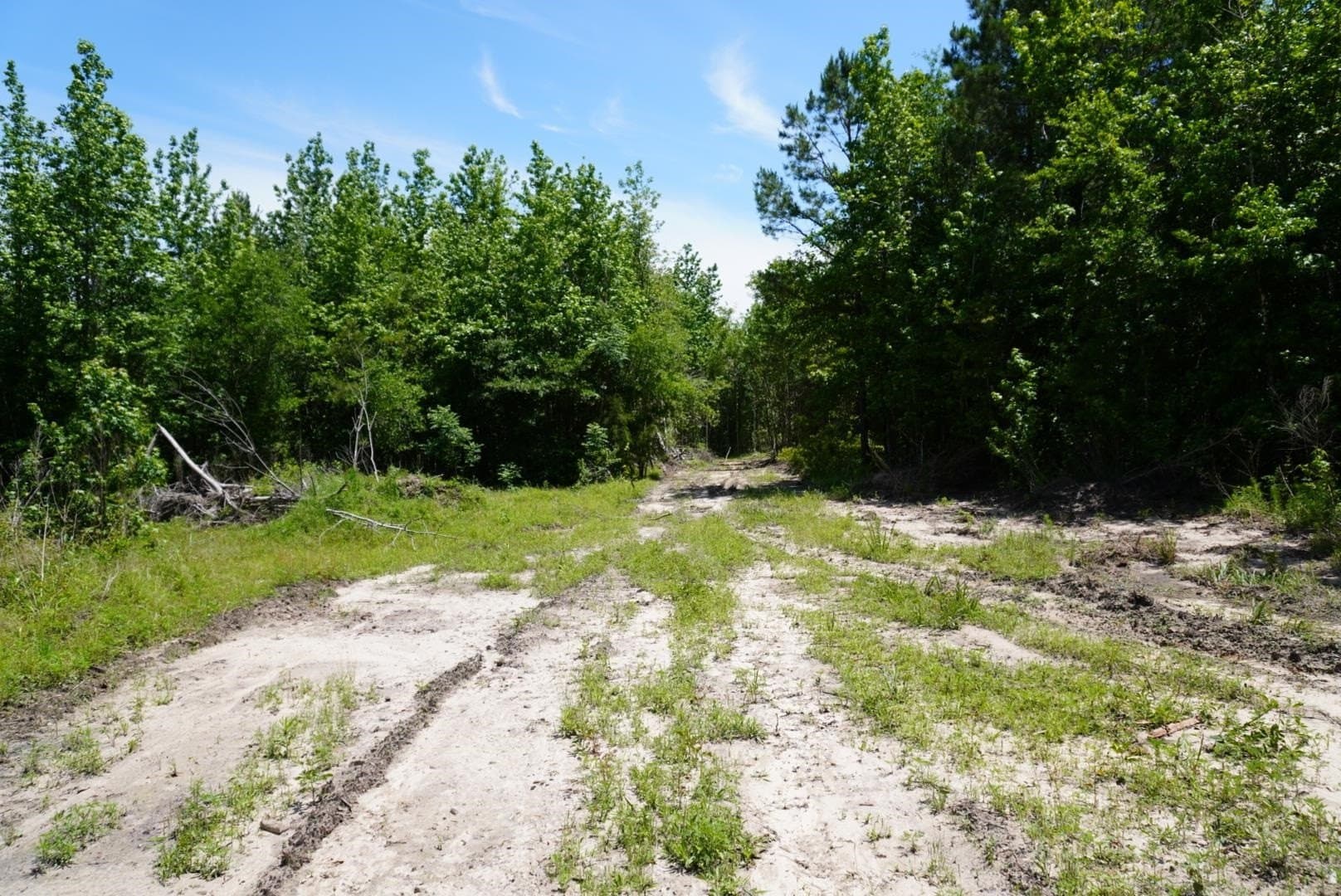 12.72 acres in Marion County gallery image 3