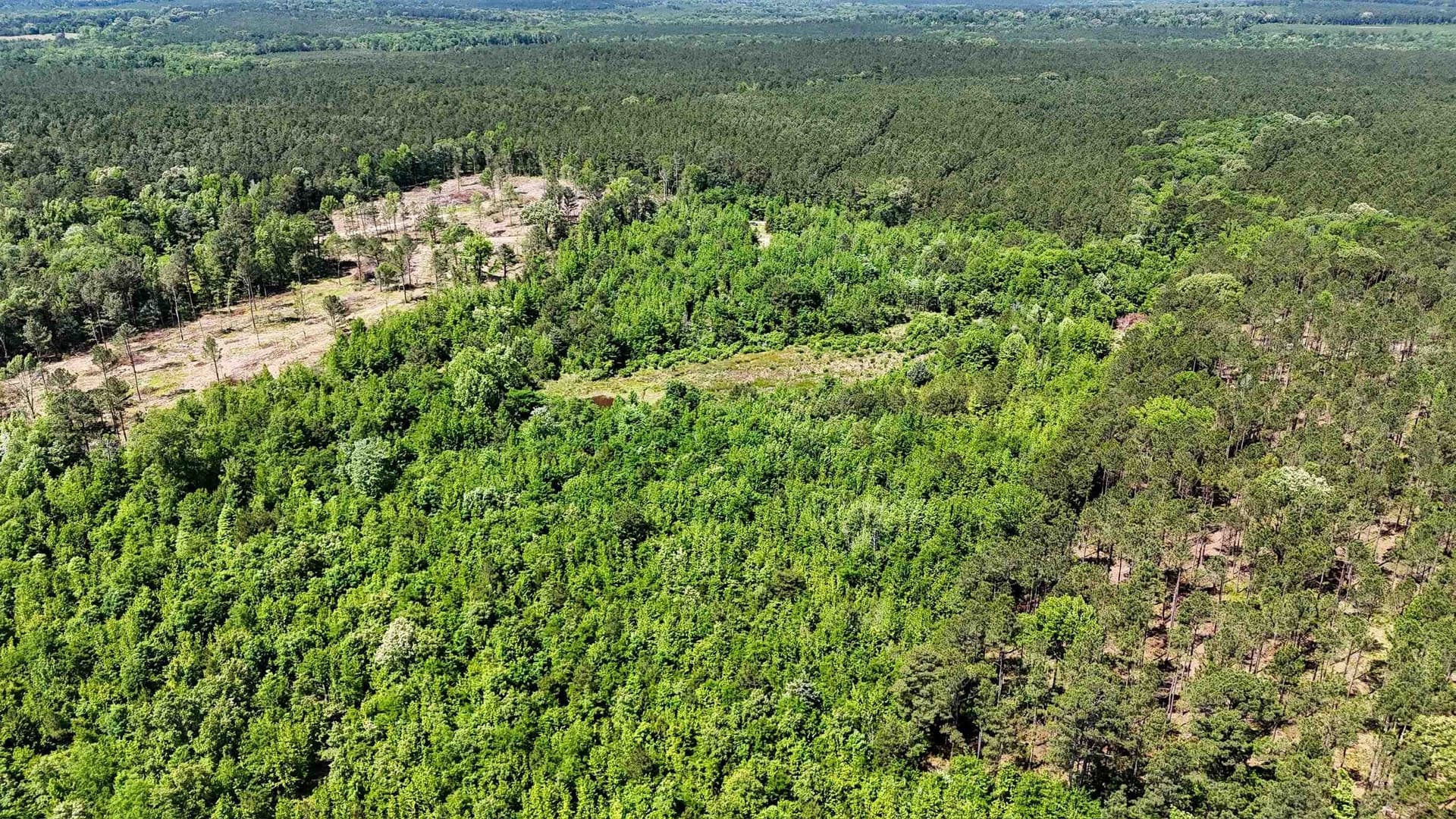 12.72 acres in Marion County