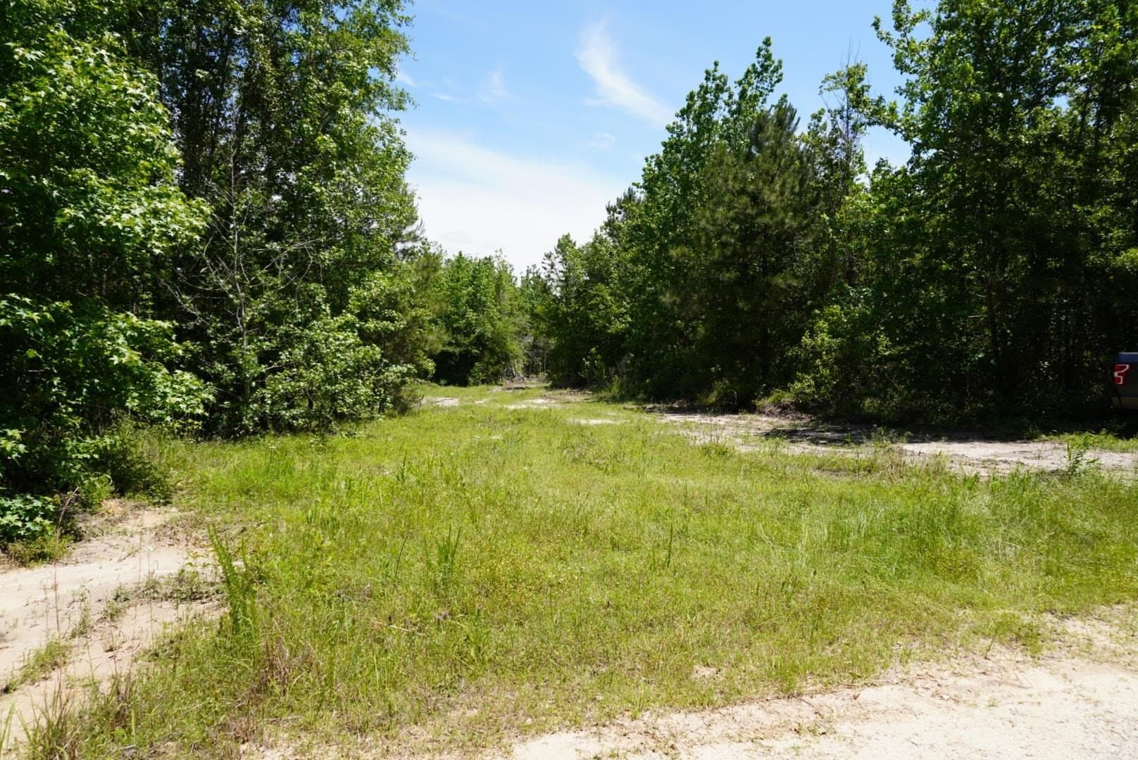 12.72 acres in Marion County gallery image 4