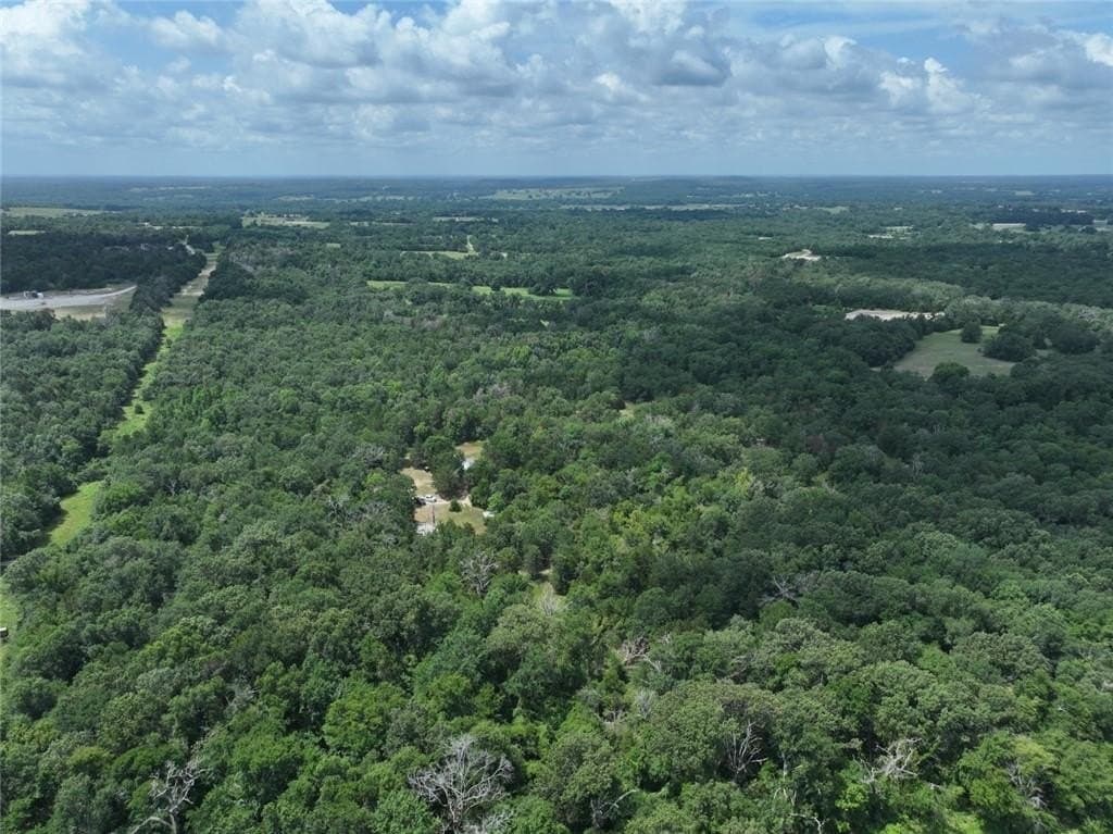 33.76 acres in Freestone County gallery image 2