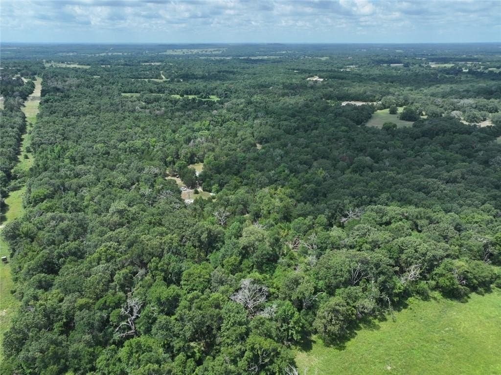 33.76 acres in Freestone County gallery image 4