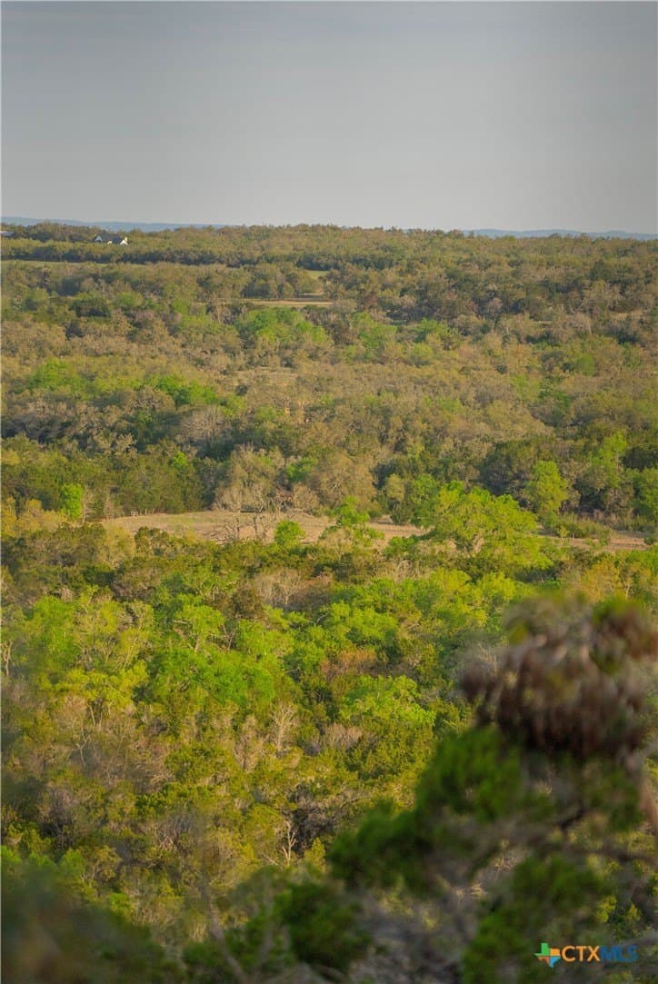 100.01 acres in Hays County - photo 29