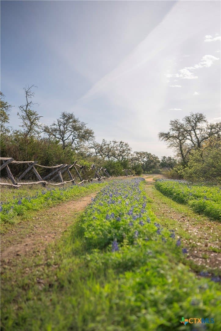 100.01 acres in Hays County - photo 18