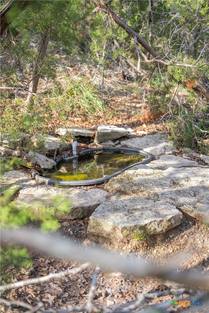 100.01 acres in Hays County - photo 37
