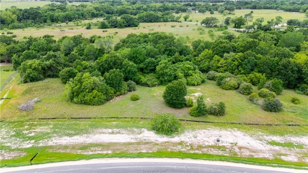 1.33 acres in Brazos County gallery image 3