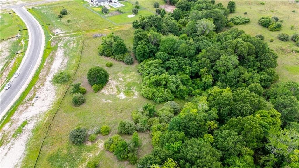 1.33 acres in Brazos County gallery image 4