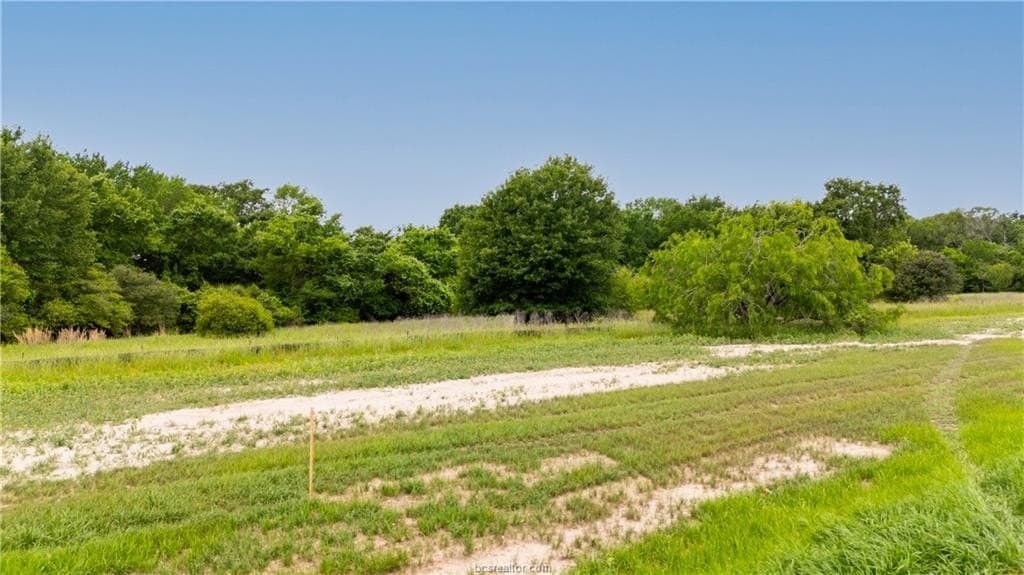 1.33 acres in Brazos County - photo 11