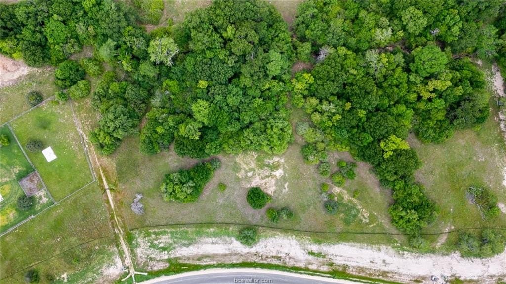 1.33 acres in Brazos County - photo 8
