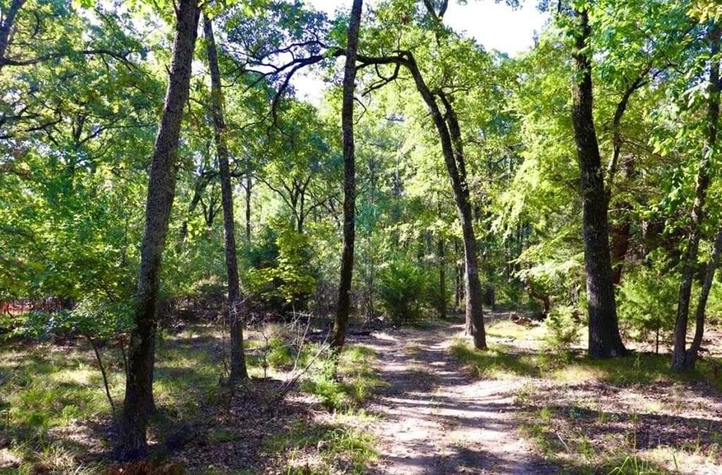 0.46 acres in Hunt County gallery image 4