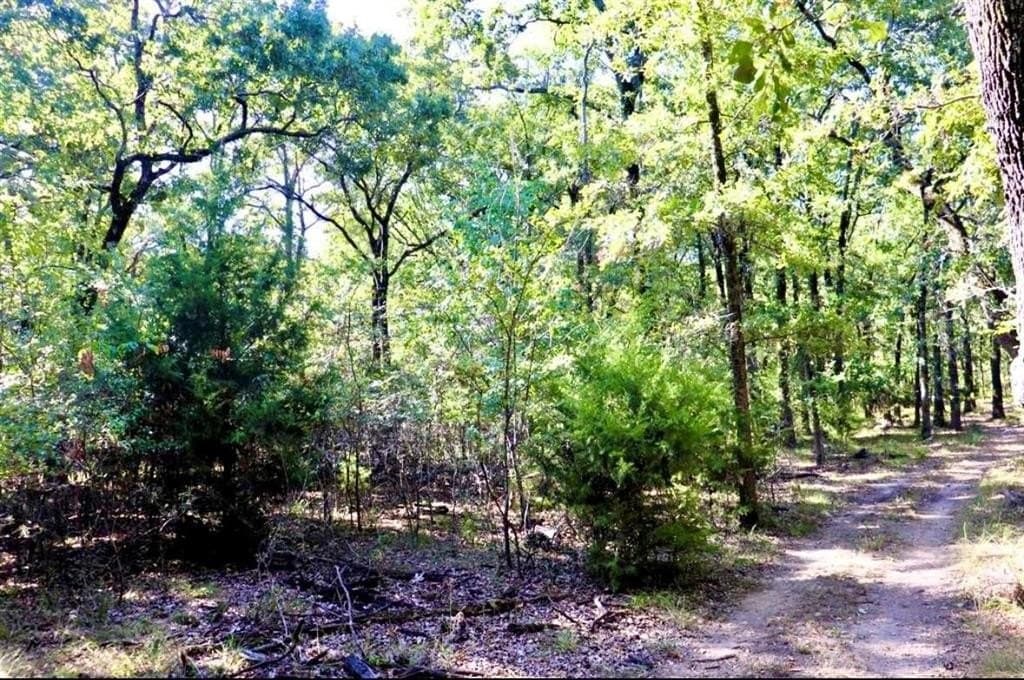 0.46 acres in Hunt County gallery image 3