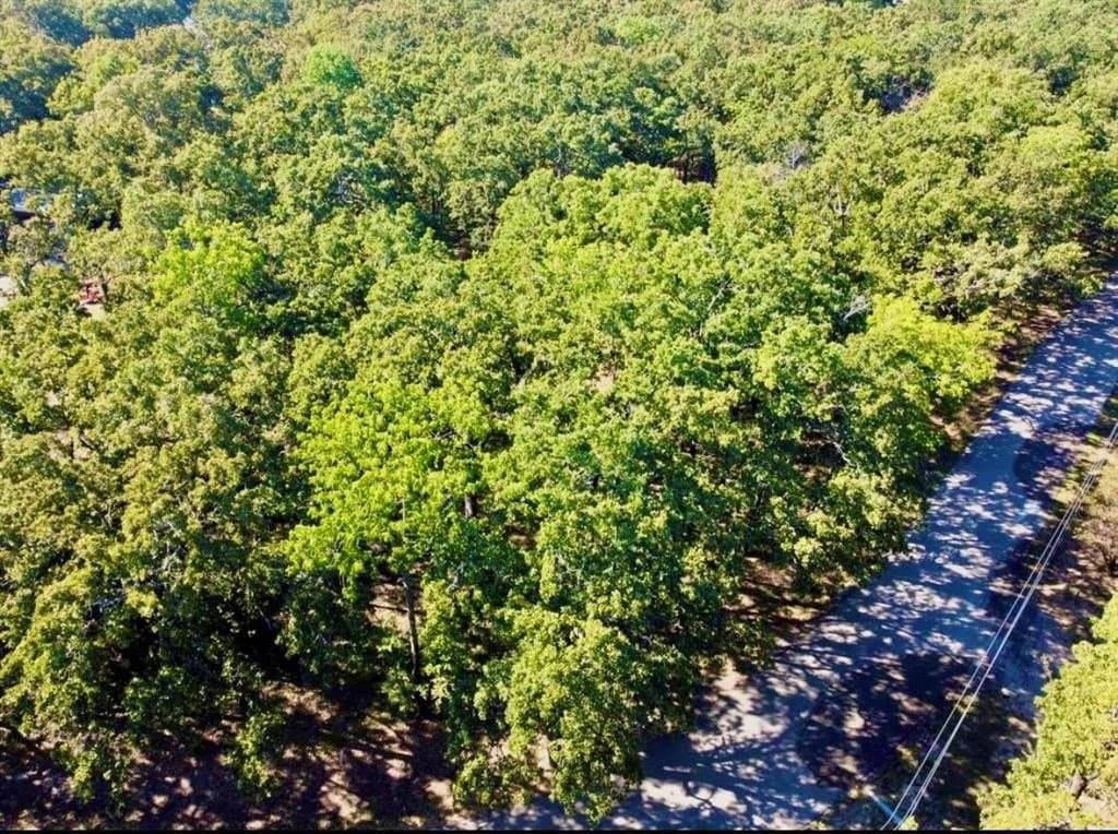 0.46 acres in Hunt County featured view