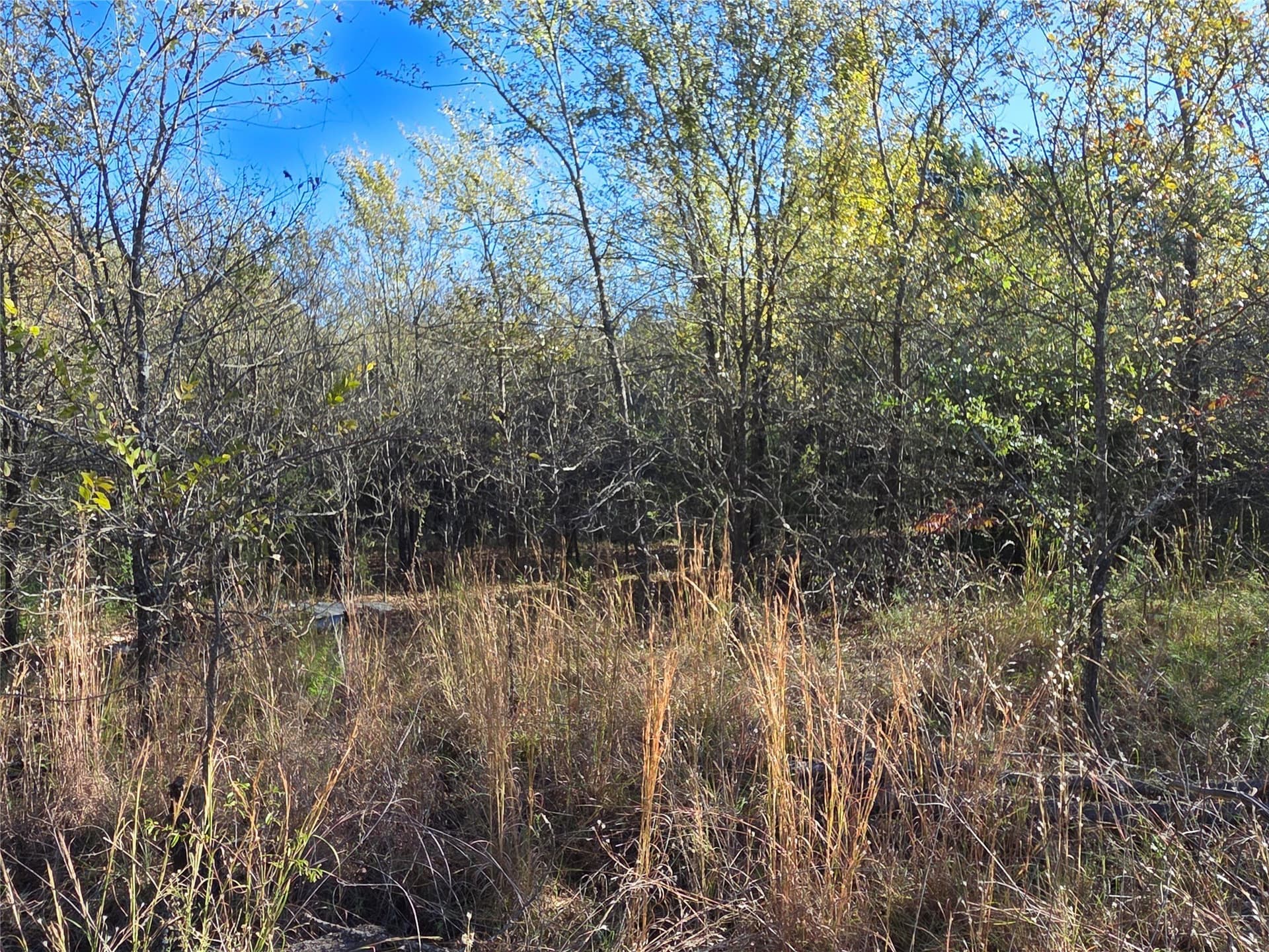 0.55 acres in Navarro County - photo 14