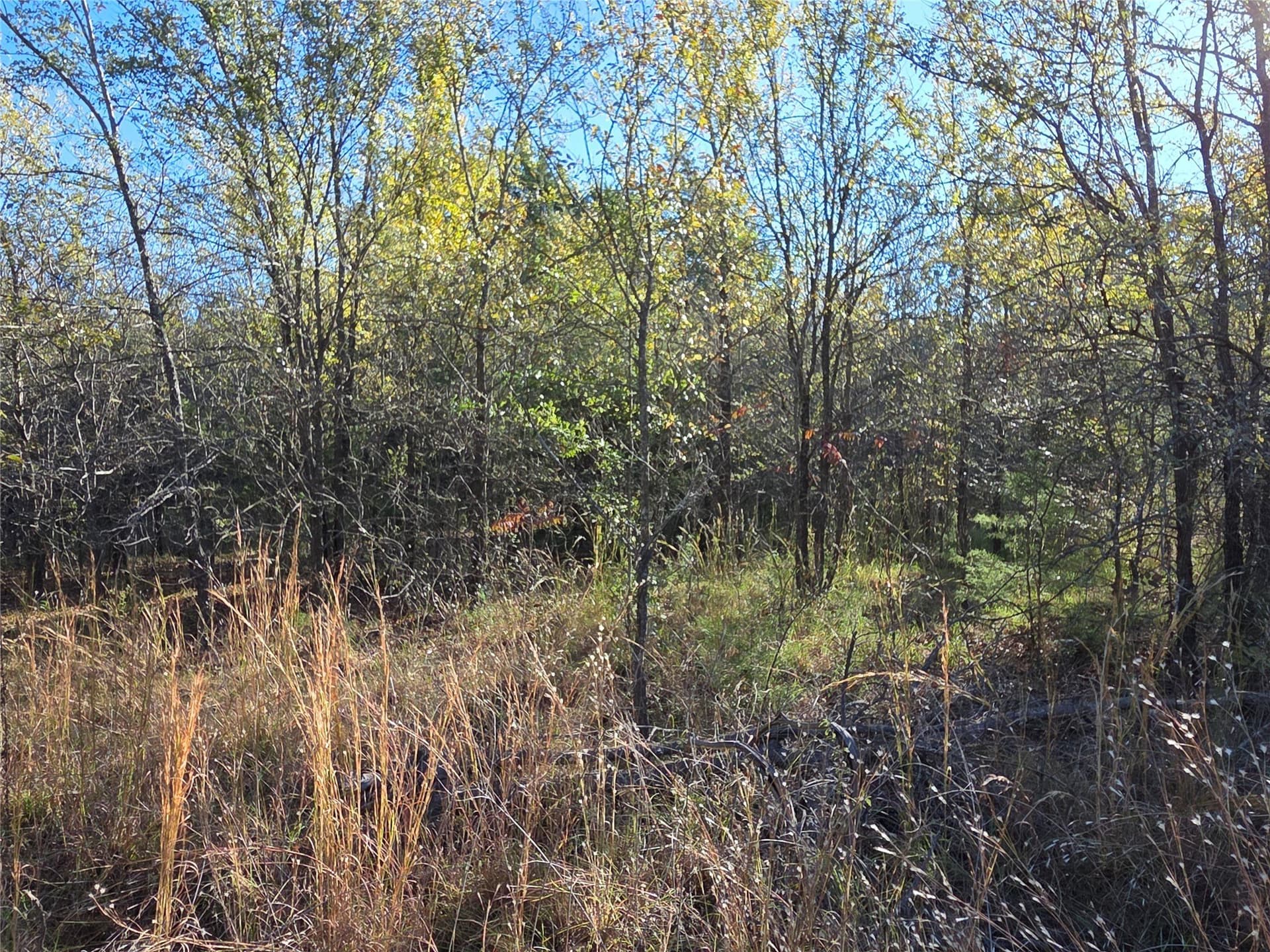 0.55 acres in Navarro County - photo 24