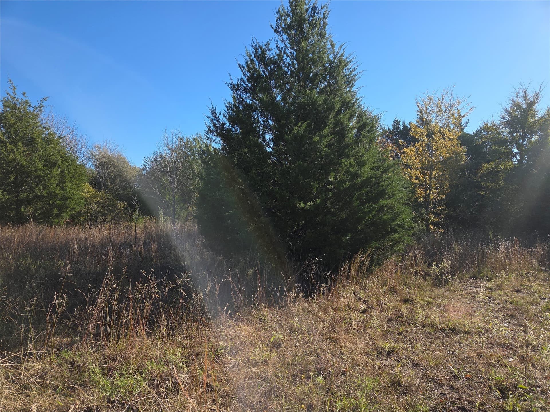0.55 acres in Navarro County - photo 22