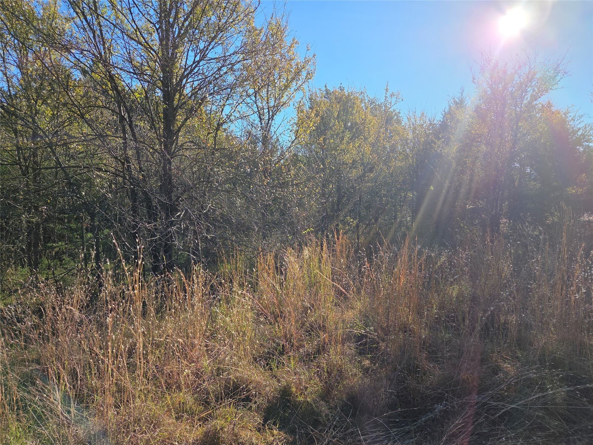 0.55 acres in Navarro County - photo 6