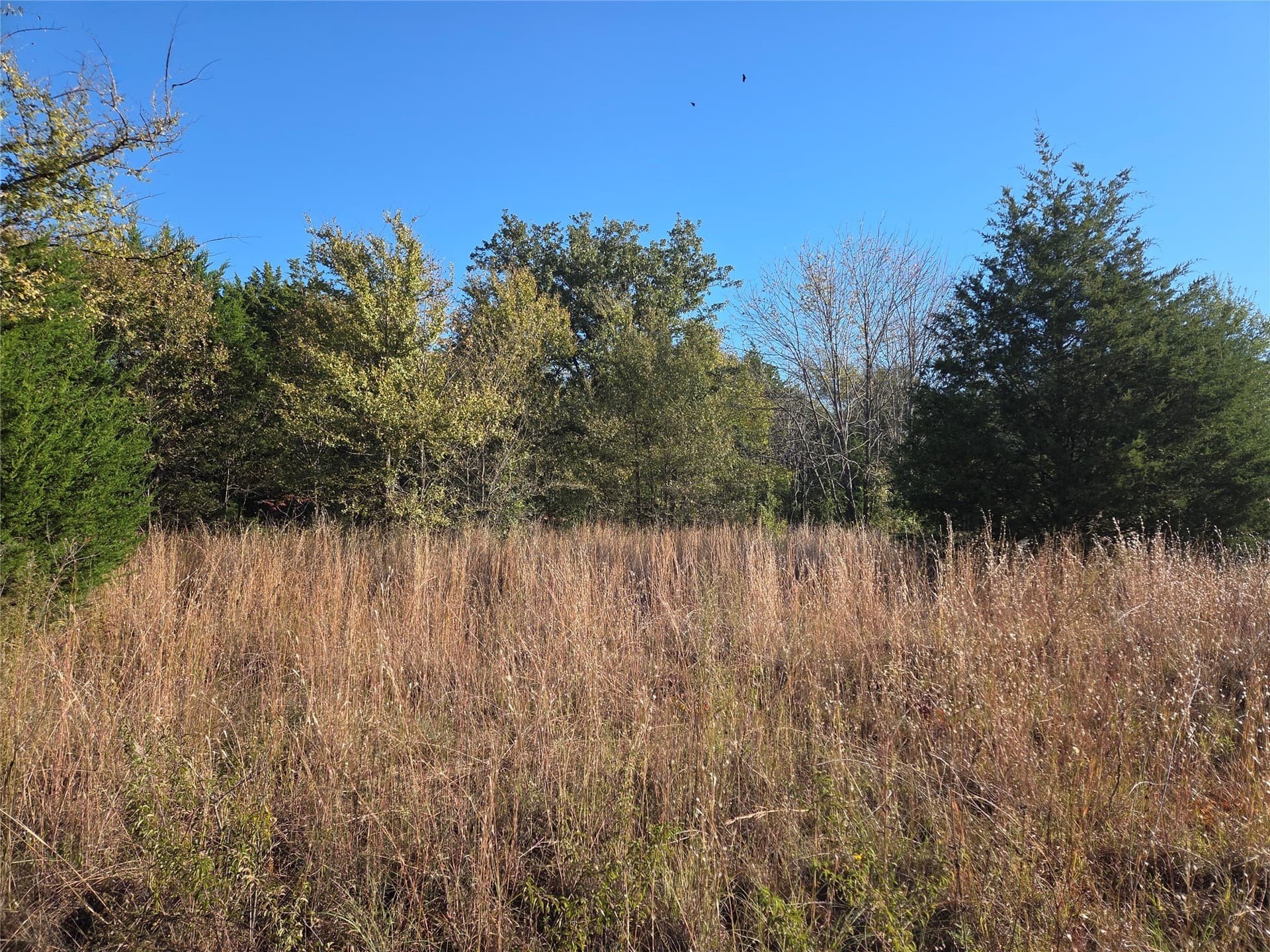 0.55 acres in Navarro County - photo 11