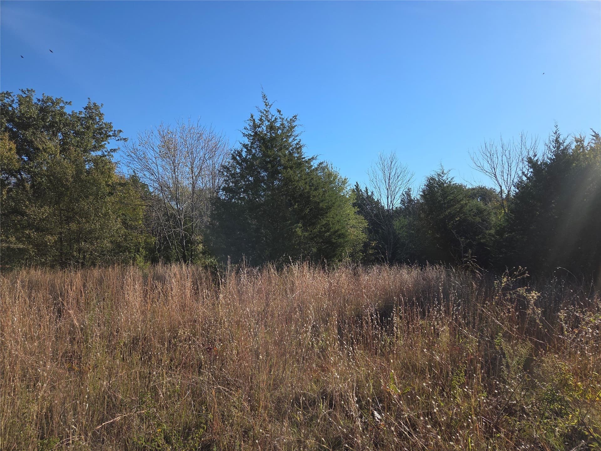 0.55 acres in Navarro County - photo 23