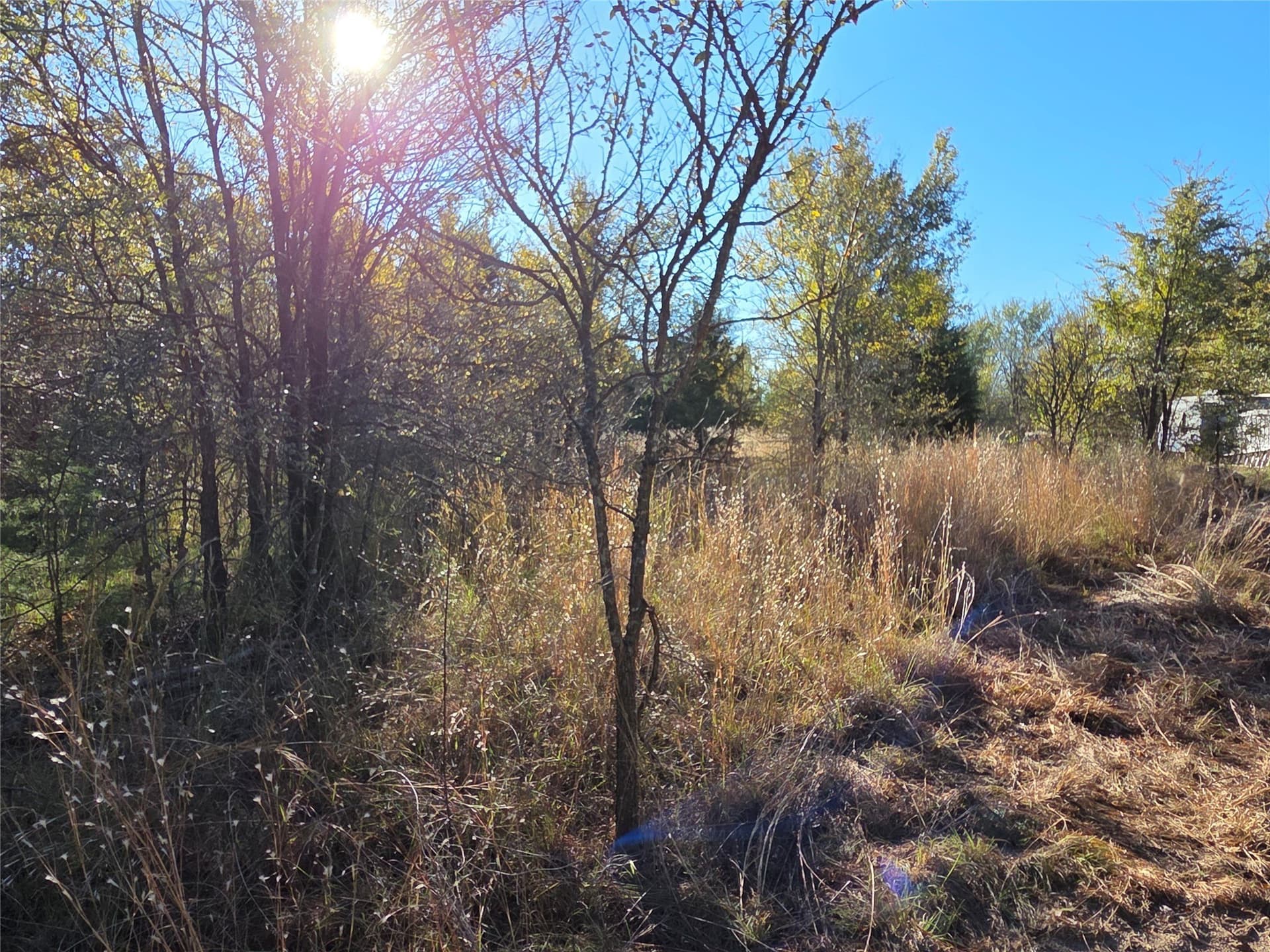 0.55 acres in Navarro County - photo 26