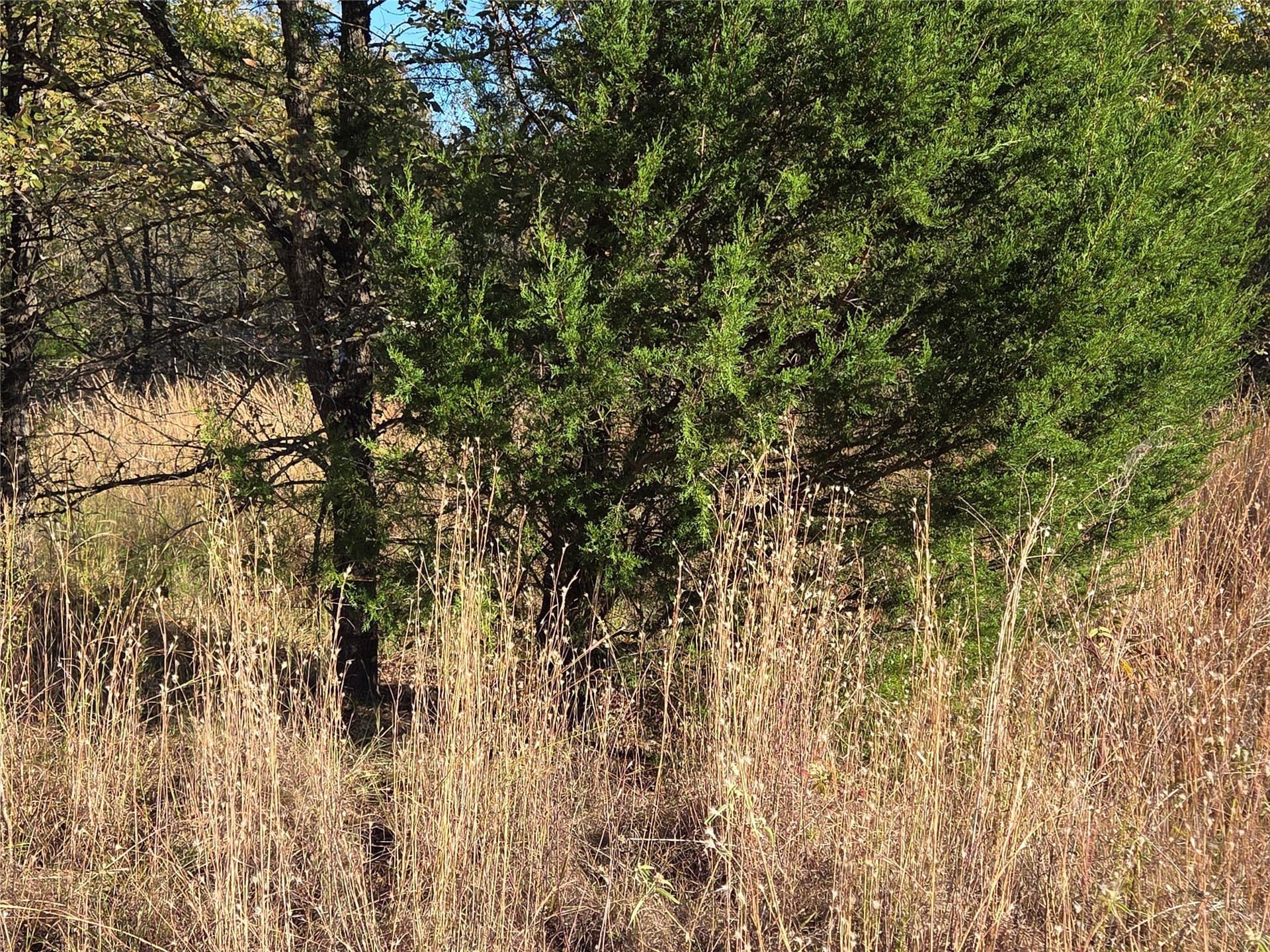 0.55 acres in Navarro County - photo 8