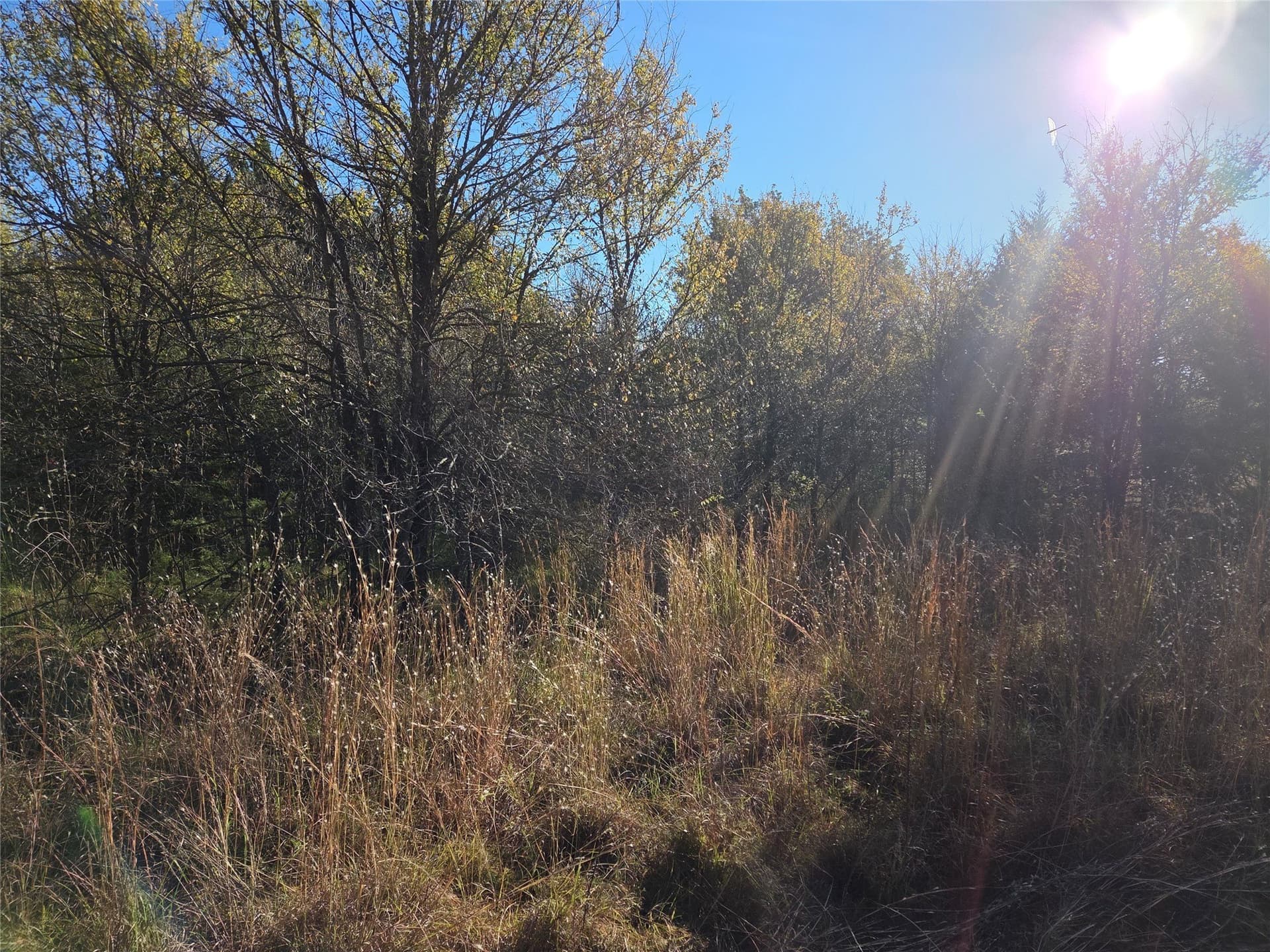 0.55 acres in Navarro County - photo 5