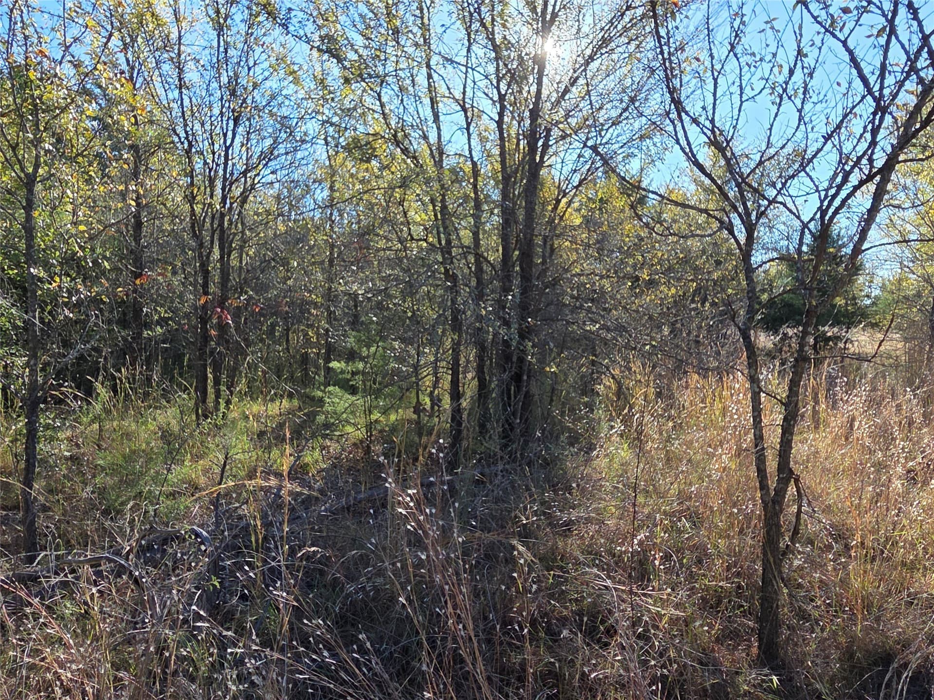 0.55 acres in Navarro County - photo 7