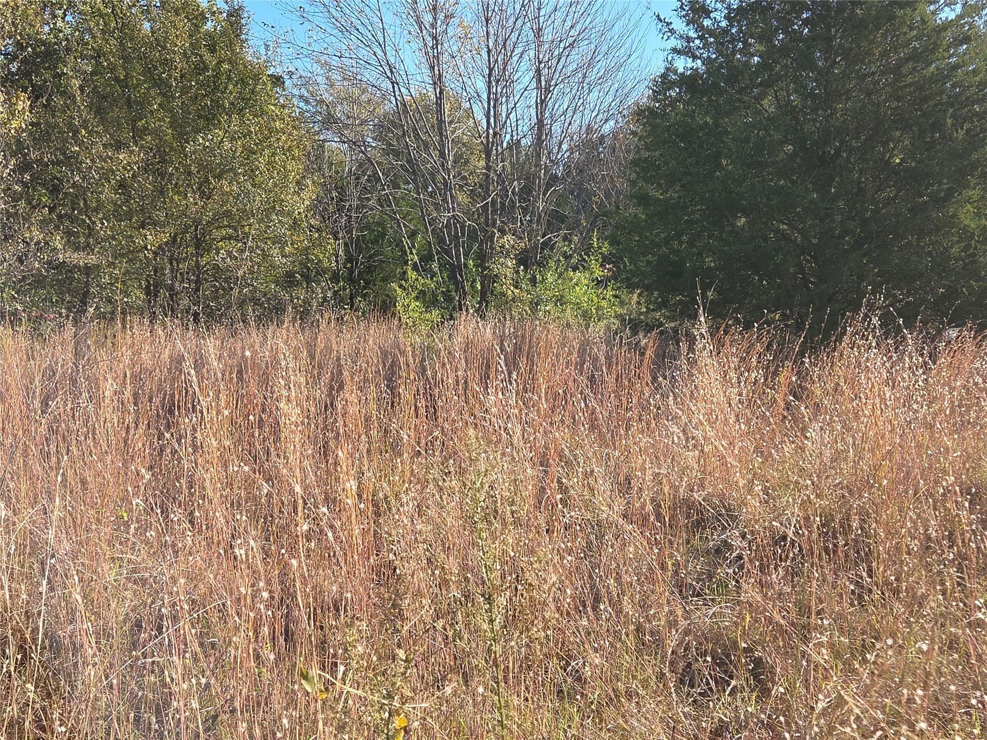 0.55 acres in Navarro County - photo 21