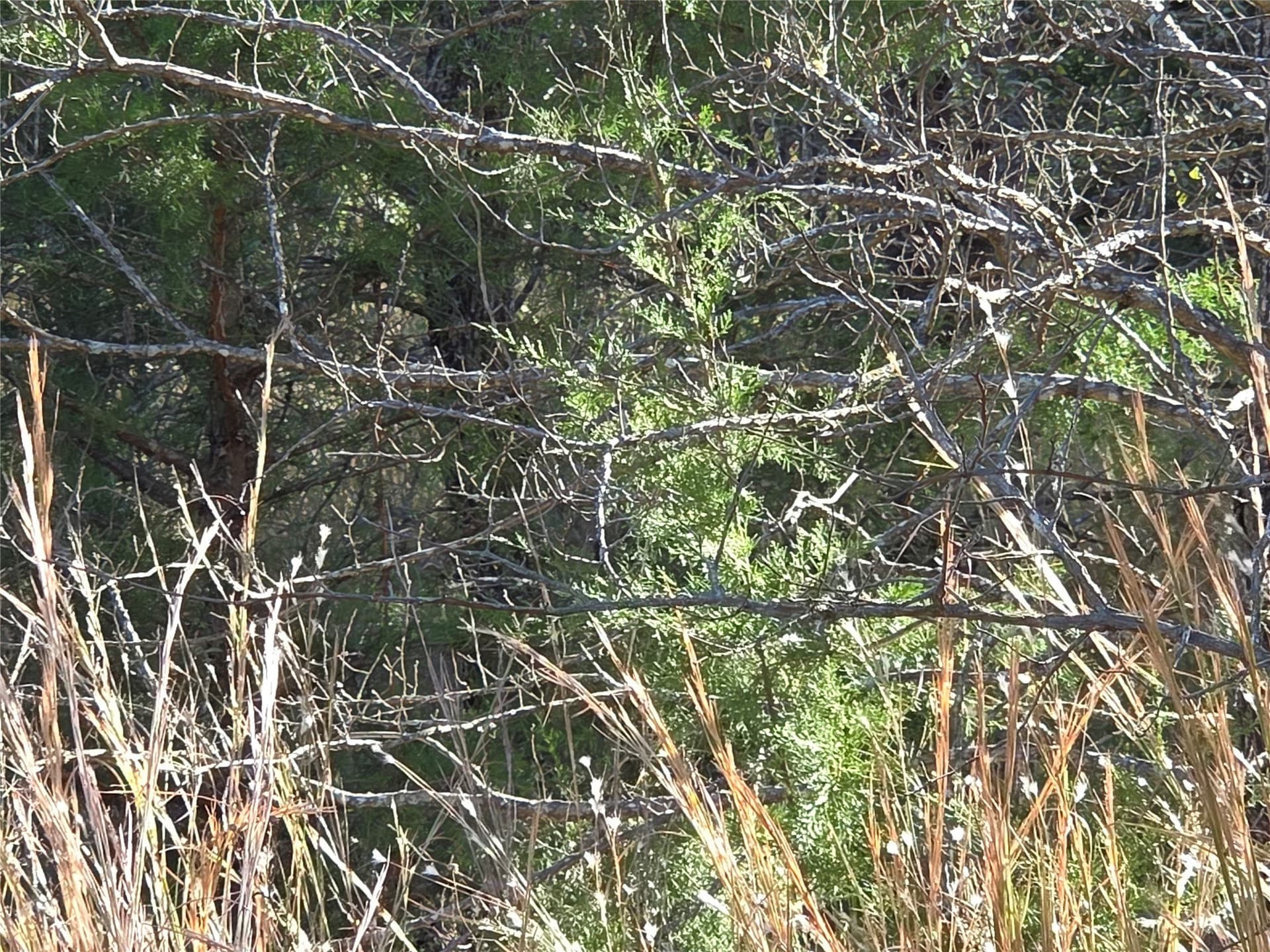 0.55 acres in Navarro County - photo 16